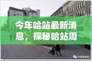 哈站周边小巷隐藏一家特色小店,独特环境惊艳亮相,等你来探秘!
