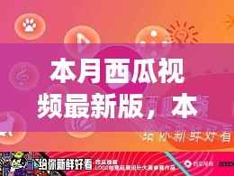 本月西瓜视频最新版,全新体验与功能升级指南