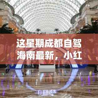 小红书爆款!成都自驾海南极致之旅最新攻略来袭
