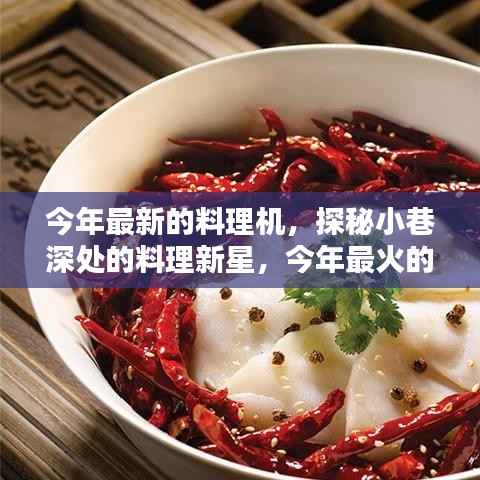 探秘小巷深处的料理新星,今年最火隐藏式料理机小店介绍