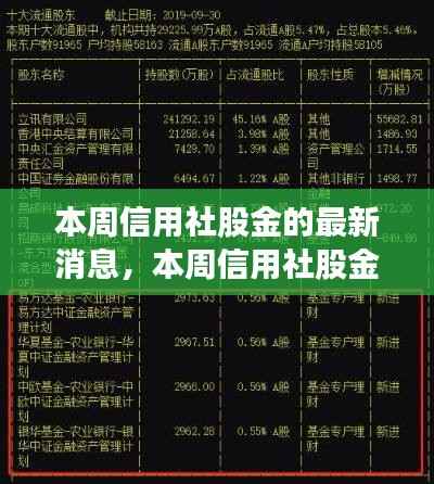 本周信用社股金动态解析与观点阐述,最新消息深度探讨