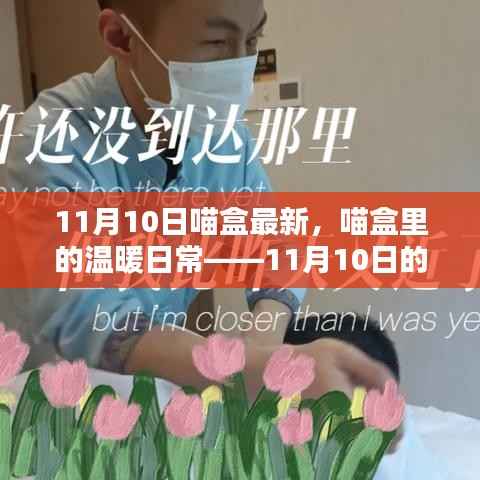 造价咨询 第257页