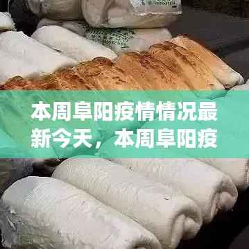 本周阜阳疫情最新动态,今日疫情分析、防控成效与多方观点聚焦