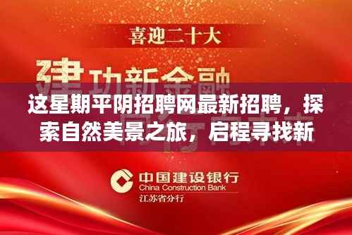 业绩展示 第255页