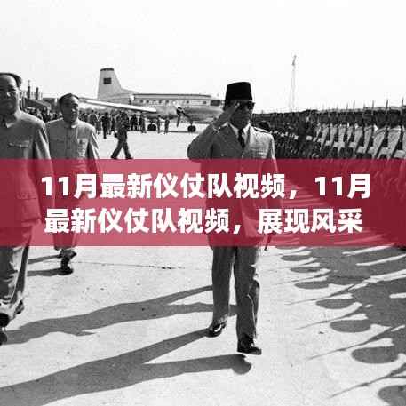 政策法规 第262页