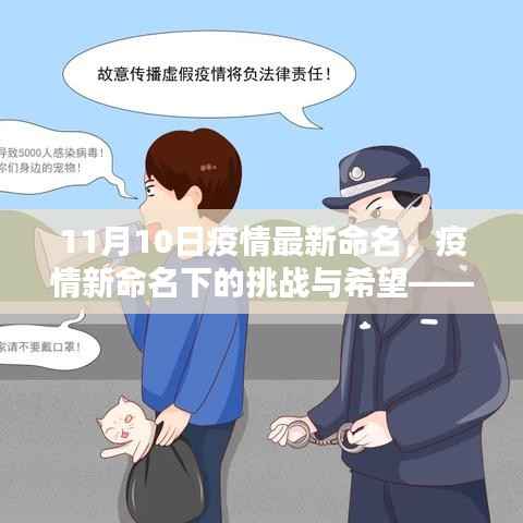 纪念特殊时刻的十一月十日,疫情新命名下的挑战与希望展望