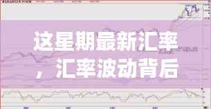 公司概况 第252页