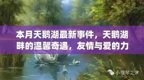 本月天鹅湖畔的温馨奇遇,友情与爱的力量的展现
