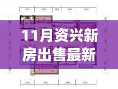 11月资兴新房出售最新消息及购房全攻略,零基础也能轻松掌握!