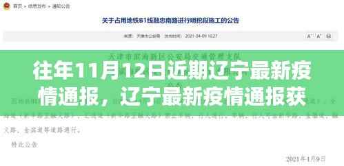 辽宁最新疫情通报获取指南,轻松掌握每日疫情动态动态更新