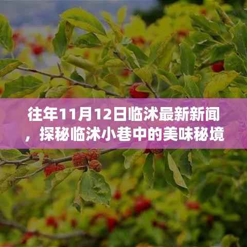 探秘临沭小巷美味秘境,11月12日临沭最新新闻中的隐藏美食店揭秘