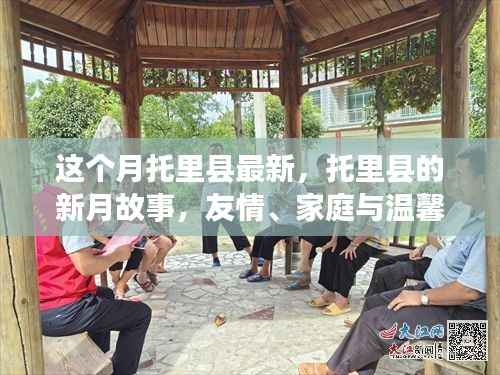 托里县新月故事,友情、家庭与温馨的绽放时刻