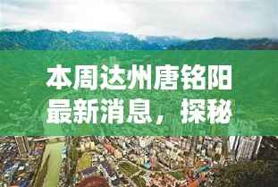 政策法规 第257页