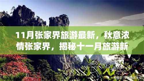 目不转睛 第28页