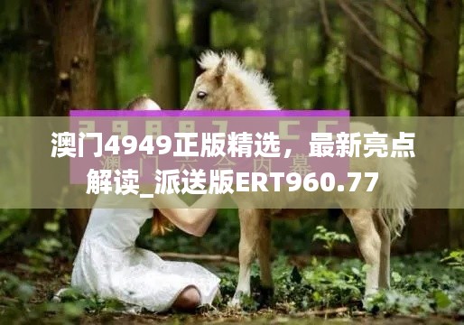新闻中心 第251页