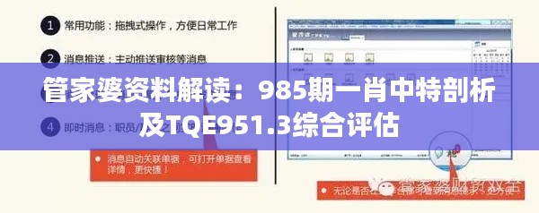 管家婆资料解读:985期一肖中特剖析及TQE951.3综合评估