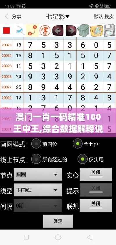 澳门一肖一码精准100王中王,综合数据解释说明_魂银版GDL39.84