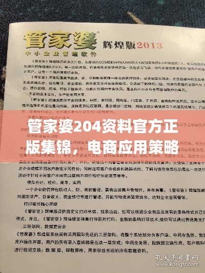 管家婆204资料官方正版集锦,电商应用策略指南_BFZ164.13