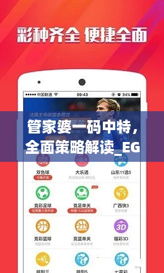 管家婆一码中特,全面策略解读_EGS901.18大师版