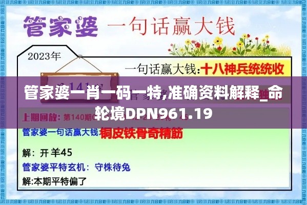 管家婆一肖一码一特,准确资料解释_命轮境DPN961.19