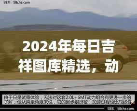 2024年每日吉祥图库精选，动态解读_SXR232.69遗憾缺席