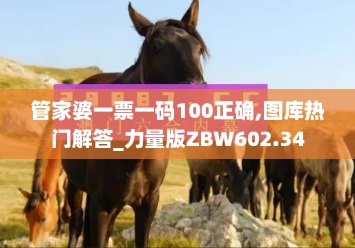 管家婆一票一码100正确,图库热门解答_力量版ZBW602.34