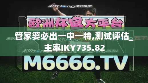 管家婆必出一中一特,测试评估_主率IKY735.82