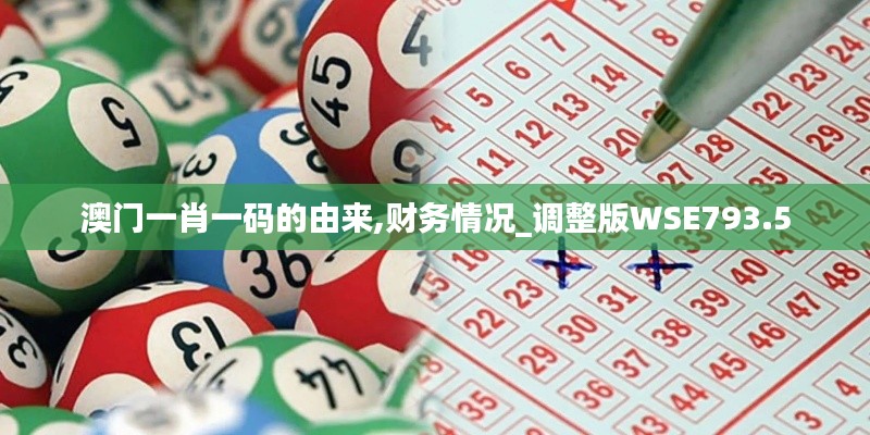 澳门一肖一码的由来,财务情况_调整版WSE793.5