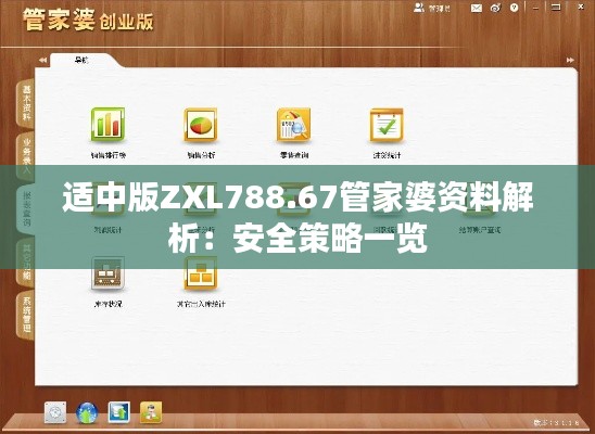 适中版ZXL788.67管家婆资料解析:安全策略一览