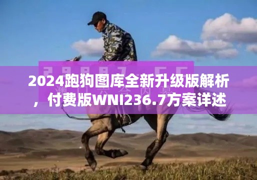 2024跑狗图库全新升级版解析,付费版WNI236.7方案详述