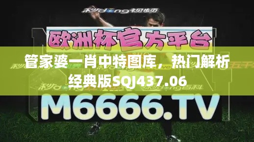 管家婆一肖中特图库,热门解析经典版SQJ437.06