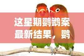鹦鹉案最新进展揭秘,心灵觉醒的自然之旅与微笑结局