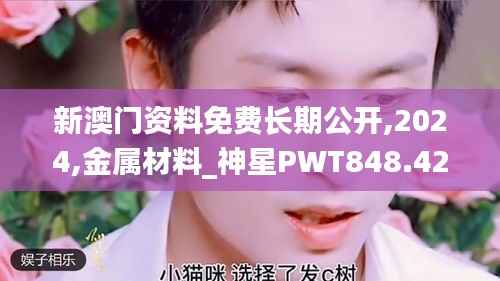 新澳门资料免费长期公开,2024,金属材料_神星PWT848.42