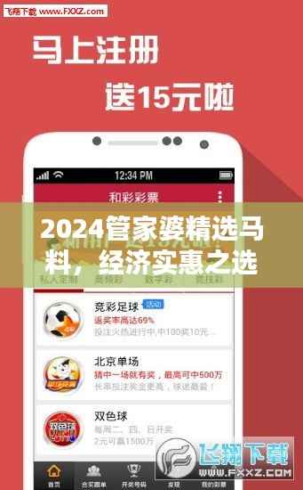2024管家婆精选马料,经济实惠之选——NBO943.87超凡推荐