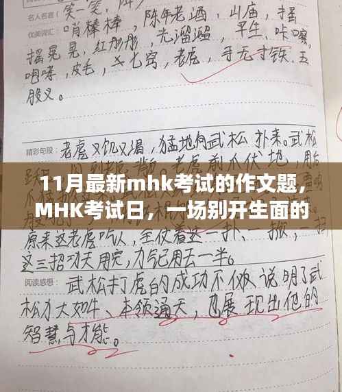 MHK考试日,作文冒险之旅开启