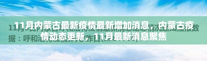 内蒙古11月疫情最新动态,最新增加消息与聚焦