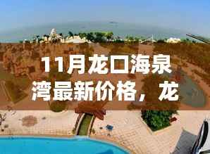 11月龙口海泉湾最新价格动态,查询指南与最新动态掌握