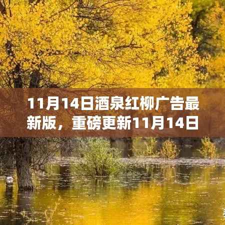 11月14日酒泉红柳广告最新版,重磅更新,精彩纷呈