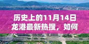 11月14日龙港热搜揭秘，历史挖掘与了解指南——初学者到进阶用户的必备参考
