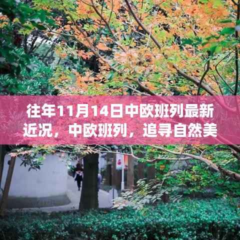 中欧班列秋日序曲,追寻自然美景与内心宁静之旅的最新近况