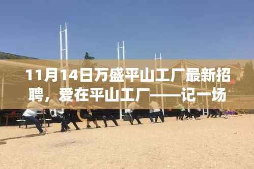 爱在平山工厂,最新招聘与求职之旅启程