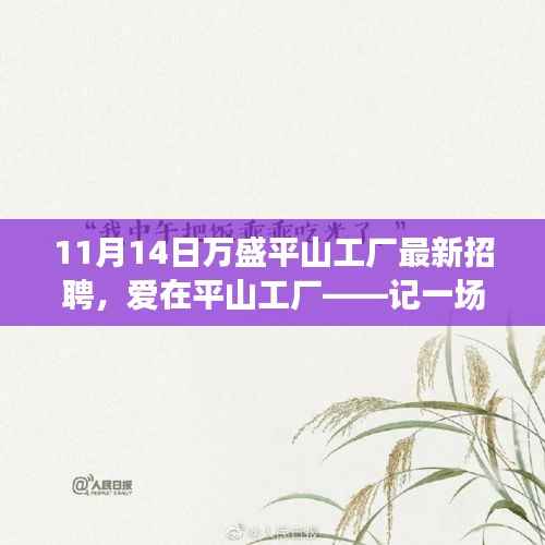 爱在平山工厂,最新招聘与求职之旅启程