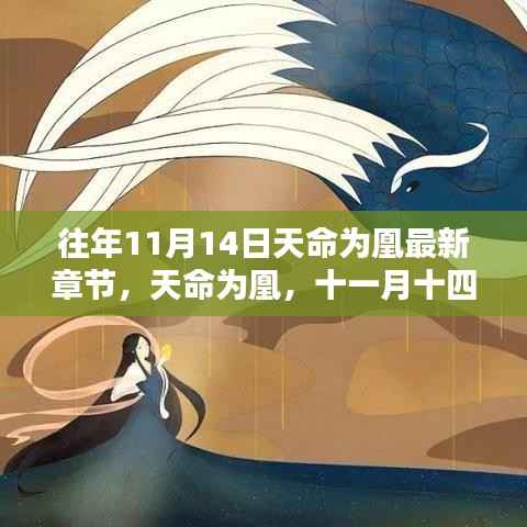 admin 第22页