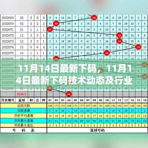 11月14日最新下码技术动态及行业应用分析,犯罪行为的探讨
