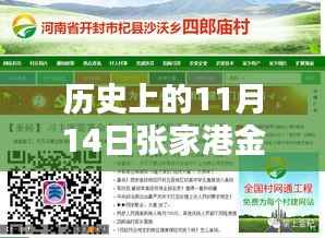 历史上的11月14日张家港金港镇招聘网最新招聘全攻略,初学者与进阶指南