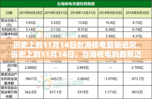 历史上的11月14日,台海核电的最新近况及其影响分析概览