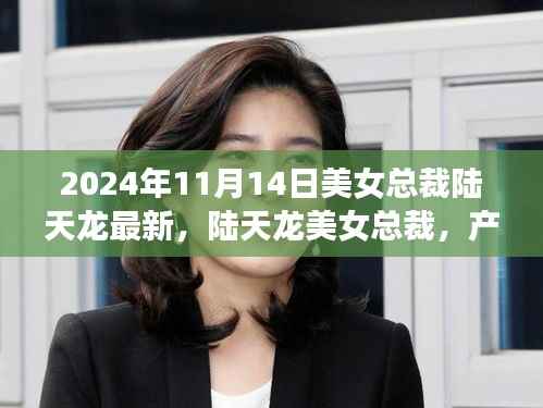 陆天龙美女总裁产品深度解析与全面测评,特性与使用体验揭秘(2024年最新)