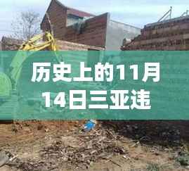 三亚违建拆除最新进展与操作指南,历史视角的11月14日更新消息