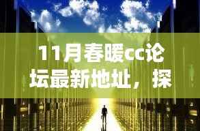 11月春暖CC论坛新坐标，探秘巷弄中的独特小店与暖意