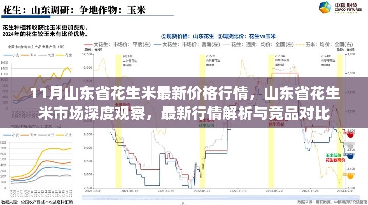 11月山东省花生米最新价格行情,山东省花生米市场深度观察,最新行情解析与竞品对比